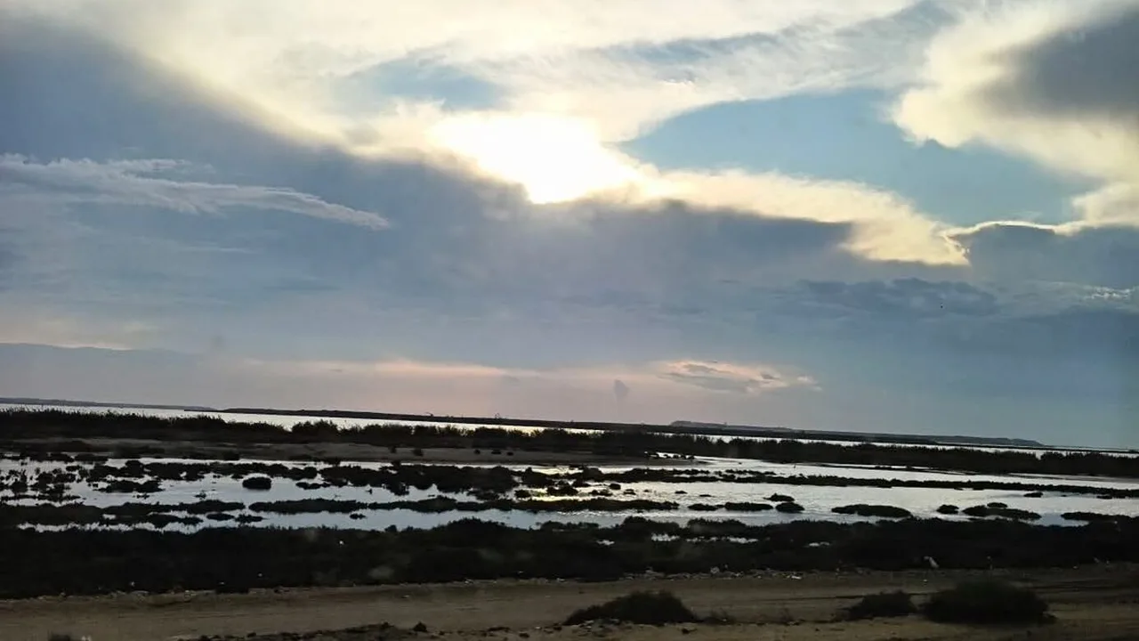 تحذير لمرتادي الطرق.. تقلبات جوية تثير الأتربة في محافظات شمال البلاد السبت